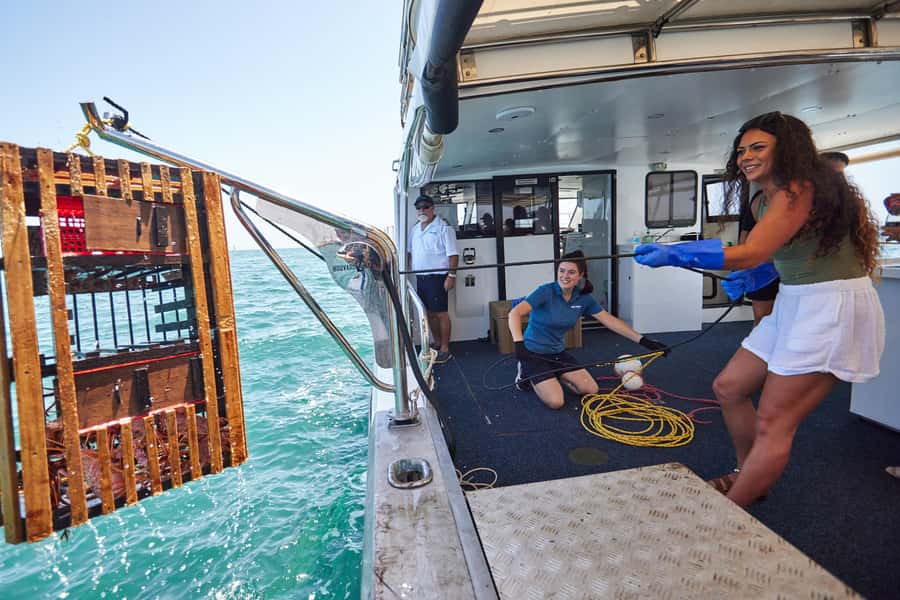 Mandurah: Wild Seafood Experience - Practical Tips That Make the Day Smoother