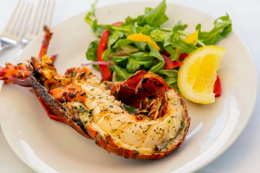 Mandurah Wild Seafood Experience - Port Mandurah Canals, dolphin spotting, and million-dollar home views