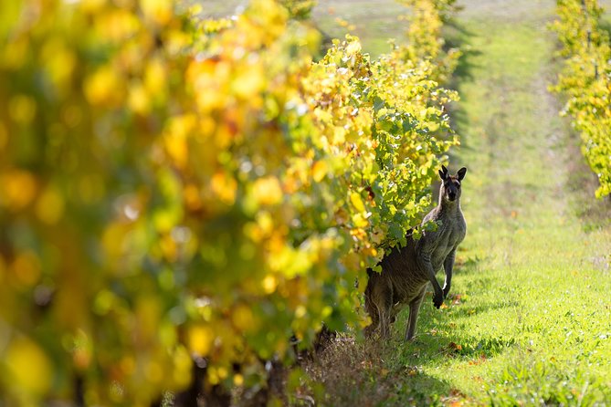 Margaret River 3 Day Escape - Group Size and Comfort: Why the Pace Feels Manageable