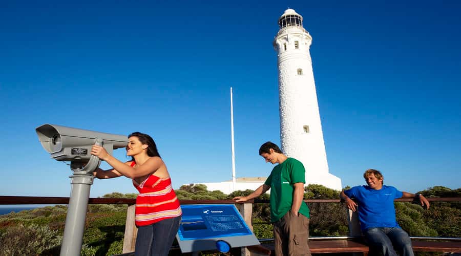 Margaret River and Busselton Jetty: Day Trip from Perth - From Perth to the South West: why this route makes sense