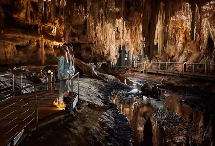 Margaret River and Busselton Jetty: Day Trip from Perth - Mammoth Cave tour: limestone chambers with a guide’s pacing