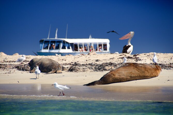 Margaret River Day Tour With Wildlife Cruise & Wine Tasting - Key Points to Know Before You Go