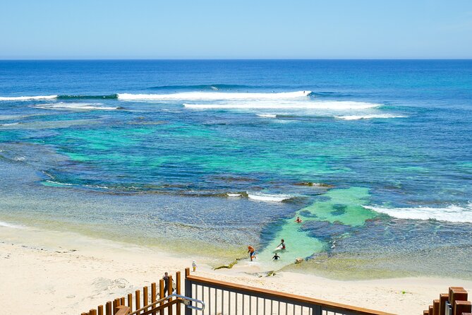 Margaret River Day Tour With Wildlife Cruise & Wine Tasting - Brewery and Winery Tastings: How to Get Value Without Overdoing It