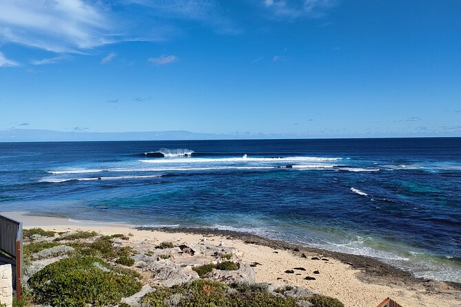 Margaret River Region Impression Day Tour from Perth - Vasse Felix Winery Visit: Great Wine Country, With Possible Extra Fees