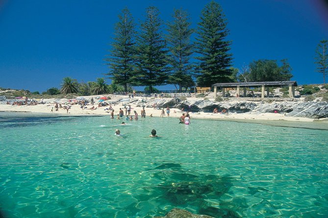 One Way Seaplane Flight - Perth to Rottnest Island - Who This One-Way Flight Suits Best (and Who Should Skip It)