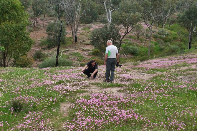 Orchids and Wildflowers Photographic Day tour from Perth - Shooting strategy you’ll benefit from with Anna-Mair