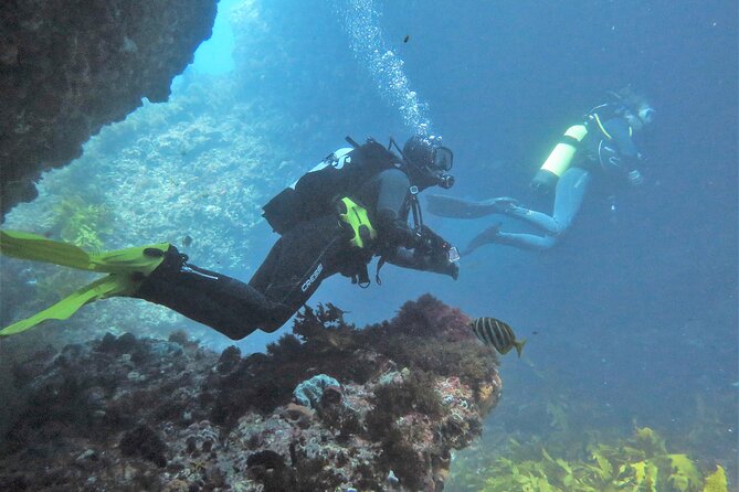 PADI Open Water Course - Who should book this course (and who might want a different plan)