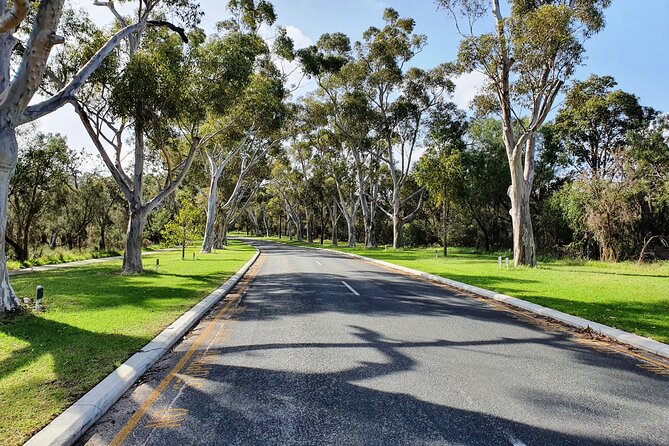 Pedals & Petals - Discovering Wildflowers Bike Tour Kings Park - Kings Park Wildflower Festival Bike Tour: what the experience is really like