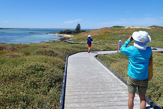 Penguin and Seal Islands Sea Kayaking Experience - Key things I’d zero in on