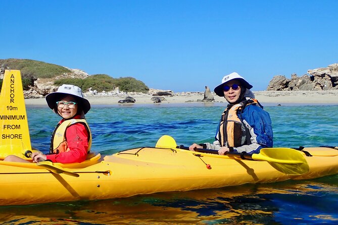 Penguin and Seal Islands Sea Kayaking Experience - Snorkeling December to March: what to expect