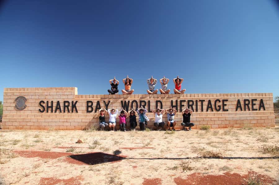 Perth: 7 Day Exmouth Explorer & Ningaloo Reef Return Perth - Shark Bay and Monkey Mia: the dolphin morning that makes the whole week real