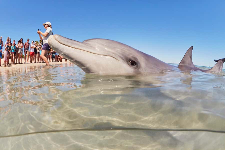 Perth: 7 Day Exmouth Explorer & Ningaloo Reef Return Perth - Exmouth and Cape Range: Turquoise Bay swims and Vlamingh Head sunsets