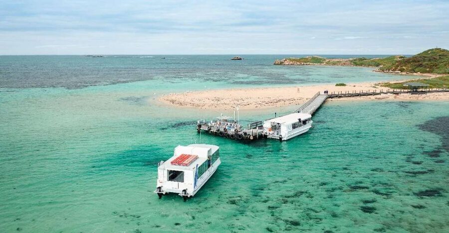 Perth: Dolphin, Sealion & Wildlife Cruise with Lunch - Sea Lions, Dolphins, and a Glass-Bottom Boat in One Hour