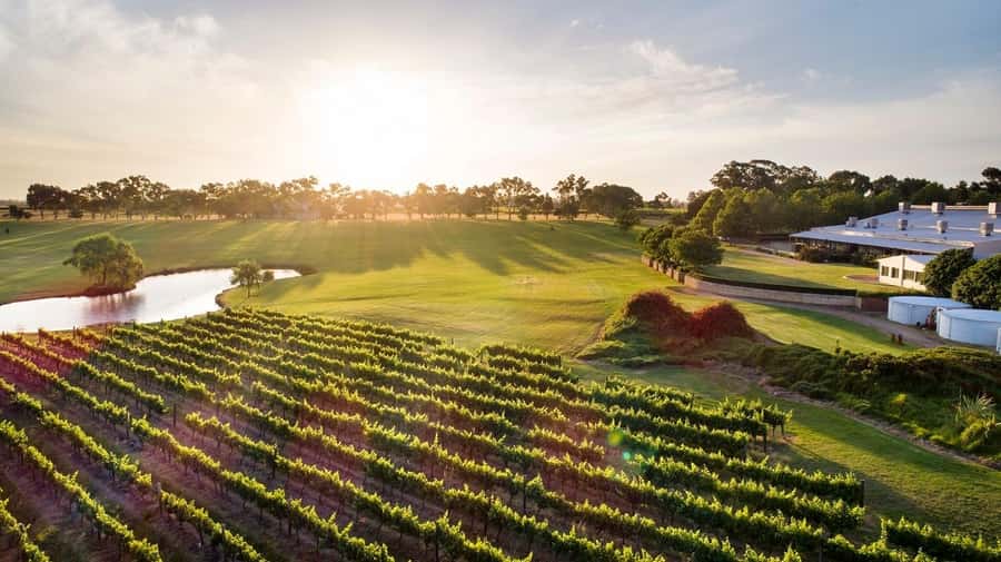 Perth: Full Day Swan Valley Cruise & Wine Tasting With Lunch - The coach ride that actually connects the dots
