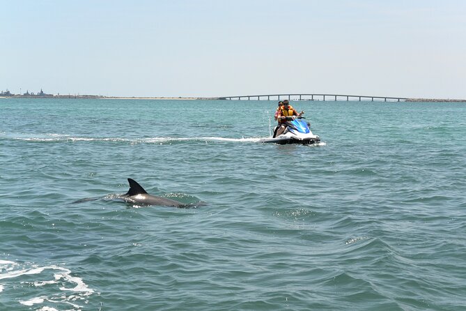 Perth Jet Ski Tour - Perth Jet Ski Tour: what you’re really paying for