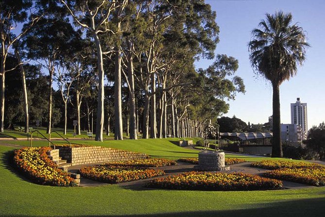Perth, Kings Park, Swan River, Fremantle and Optional Cruise - What’s truly special: treetop height plus port-city texture