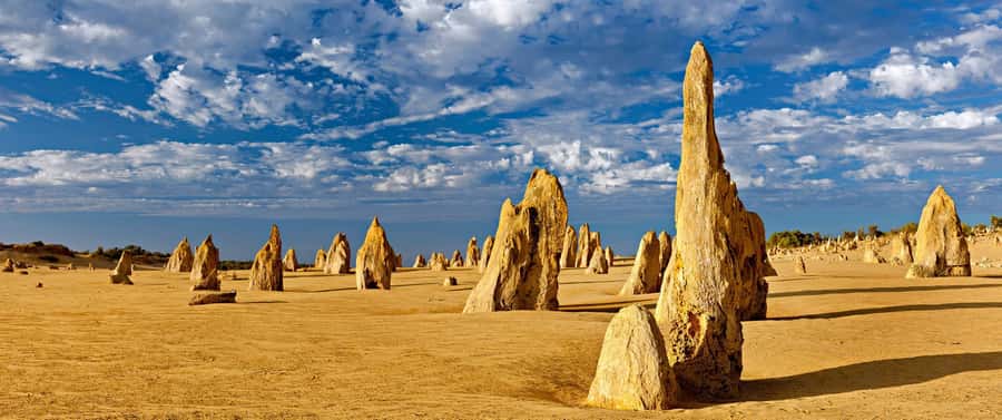 Perth: Pinnacles and Swan Valley Wine Day Tour with Lunch - The return drive through the West Australian Heartlands and spring wildflowers