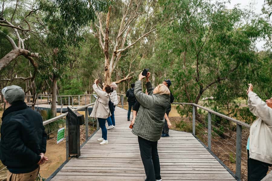 Perth: Pinnacles Desert Sunset & Stargazing with Dinner - Should You Book This Pinnacles Sunset and Stargazing Tour?