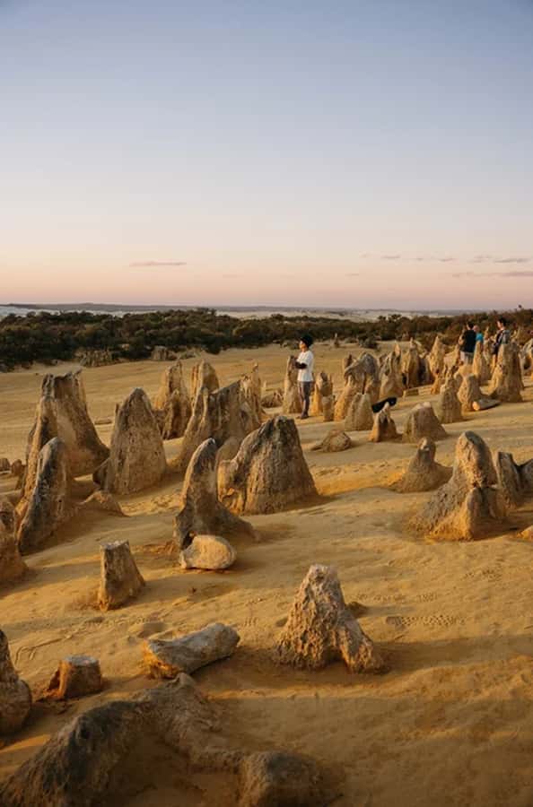 Perth: Pinnacles Desert Sunset & Stargazing with Dinner - Dinner in Cervantes: The Aussie Pub Atmosphere Part Isn’t Just a Side Quest