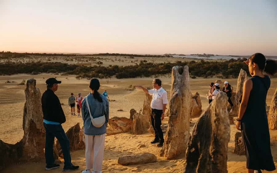 Perth: Pinnacles Desert Sunset & Stargazing with Dinner - Reality Checks: Weather, Full Moon, and Wild Animal Timing