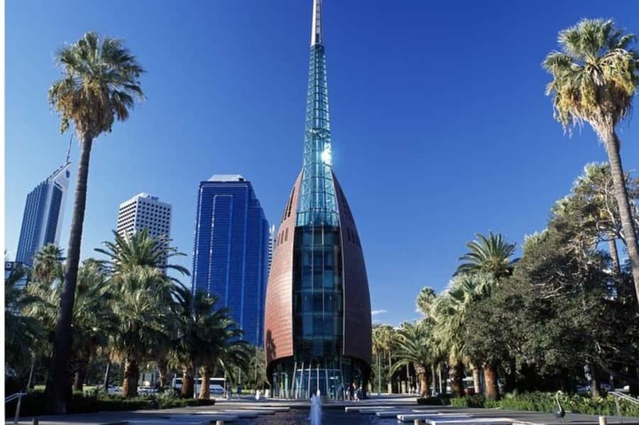 Perth : Private Custom Tour with a Local Guide - Kings Park again: more time to absorb the bigger area