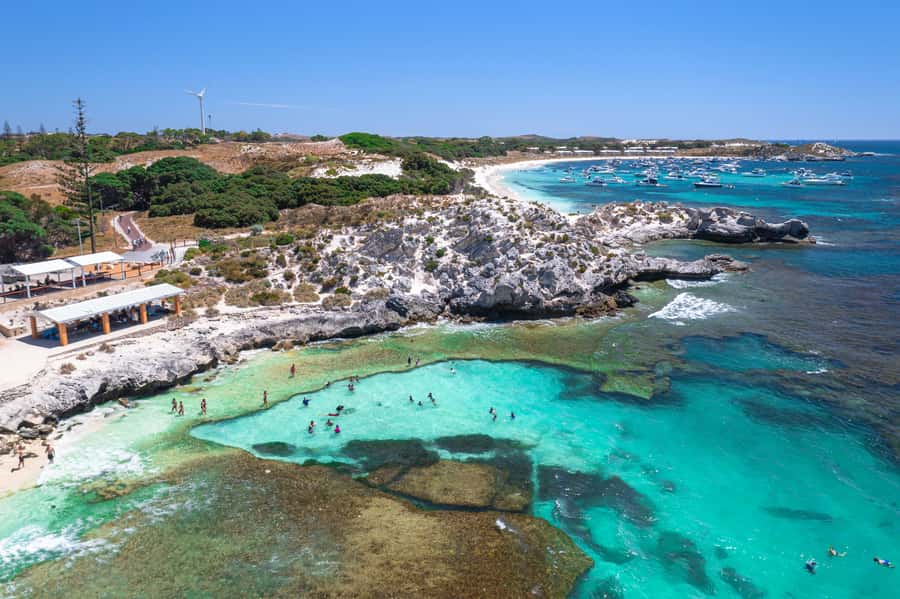 Perth: Rottnest Island Ferry, Bike, Coffee & Lobster Roll - Locally roasted coffee on the morning ferry: how to use it without overhyping it