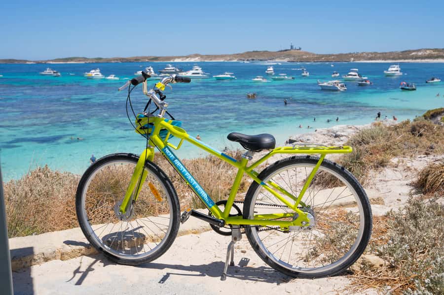 Perth: Rottnest Island Ferry, Bike, Coffee & Lobster Roll - Getting your signature bite: The Lane Café Rottnest Cray Dog (and smart ways to approach it)