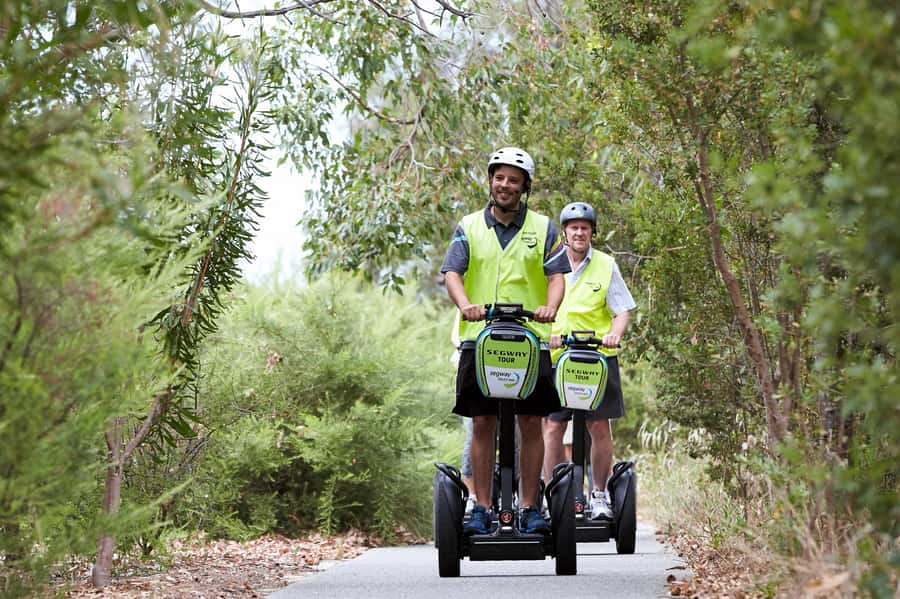 Perth Segway 1.5 Hour Kings Park Tour - Bush trails and wildlife time: what it’s actually like under the trees