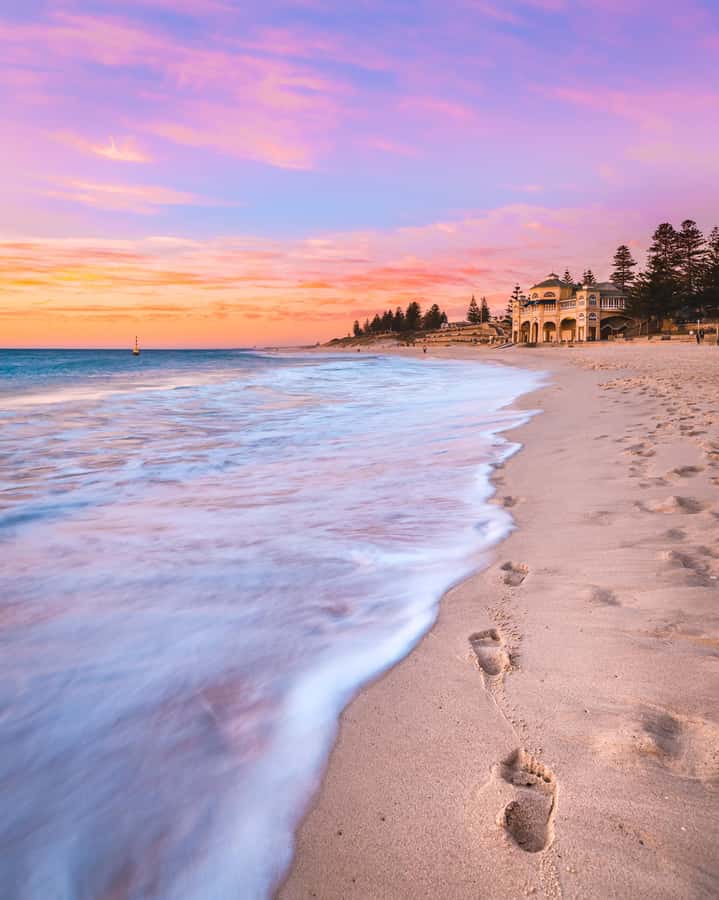 Perth: Swan River and Beaches of Perth Sunset Picnic Dinner - Swan River scenic drive: wildlife, waterfront walking, and big-city landmarks