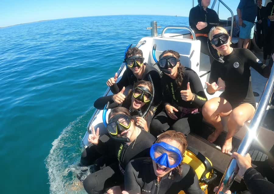 Perth: Swim with Wild Dolphins Tour - Who this tour suits best (and who should rethink it)