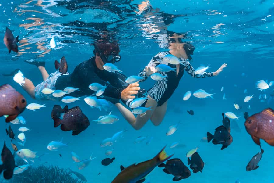 Perth to Exmouth: 6-Day Ningaloo Reef & Coral Coast Tour - Meeting Point, Group Size, and the Start Day Reality