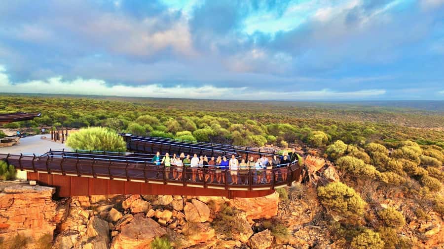 Perth to Exmouth: 6-Day Ningaloo Reef & Coral Coast Tour - Monkey Mia Dolphins: The Morning Shoreline Moment