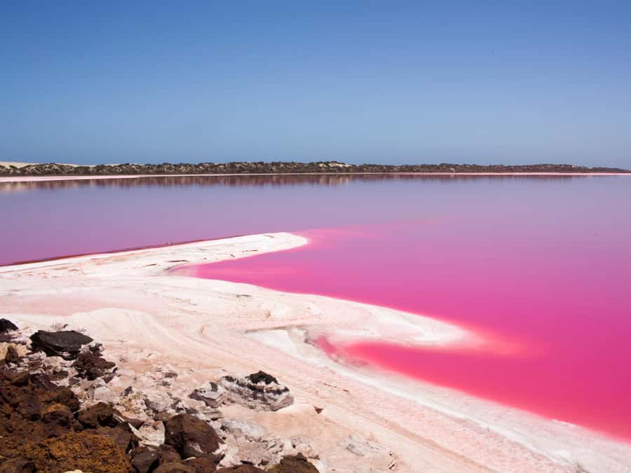 Perth to Exmouth & Return with Monkey Mia & Ningaloo Reef - Perth to Kalbarri: The Pinnacles and the Coral Coast start-up