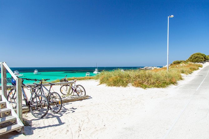 Perth to Rottnest Island Roundtrip Ferry Ticket - Price and value: why $91.09 can work out well