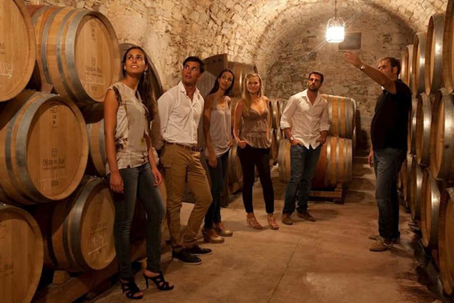 Perth VIP Swan Valley Wine Tour - Premium Small Group Tour - Price and value: is $155 per person a good deal?