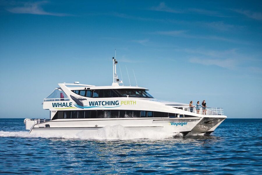 Perth: Whale Watching Cruise from Hillarys Boat Harbour - Getting there: pickup options and what to expect at check-in