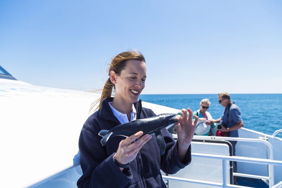 Perth: Whale Watching Cruise from Hillarys Boat Harbour - Best timing: when the migration window gives you the best odds