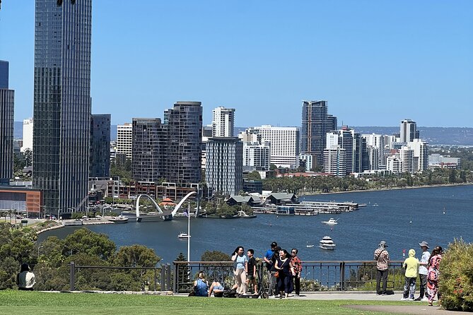 Perth Wide Sightseeing - Kings Park and Botanic Garden: treetop bridge and skyline angles