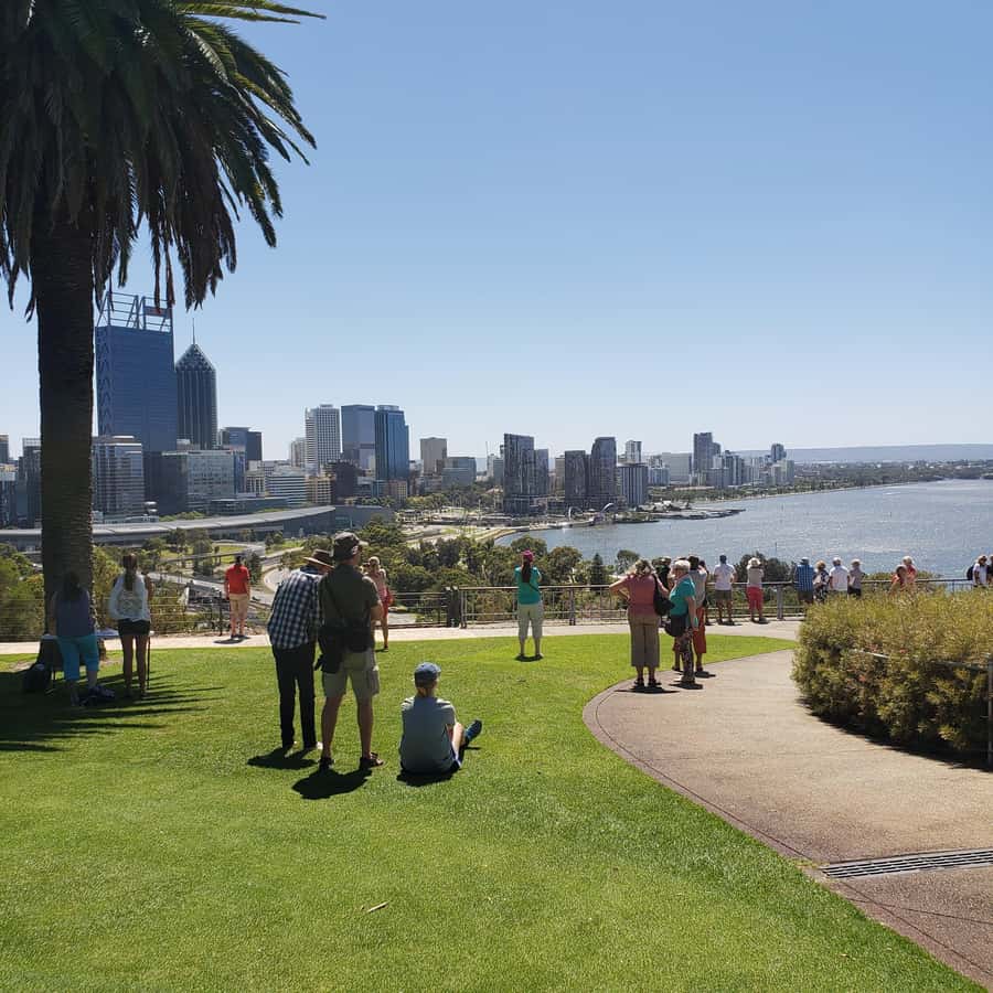 Perth Wildlife Park & City Highlights - Small Group Tours - Transport Comfort and Timing: What the 7-Hour Loop Really Means