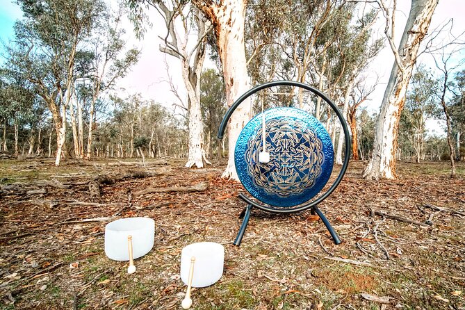 Perth Wildlife Tour Under the Stars with Dinner - Who this Perth night tour fits best
