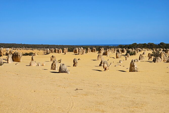 Pinnacle Day Adventure Tour - A Perth day trip that actually earns the hype