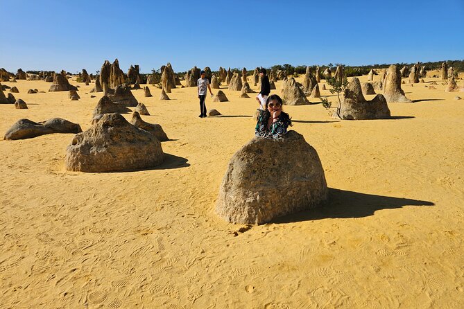 Pinnacle Day Adventure Tour - Nambung National Park: your Pinnacles walk with a sense of place