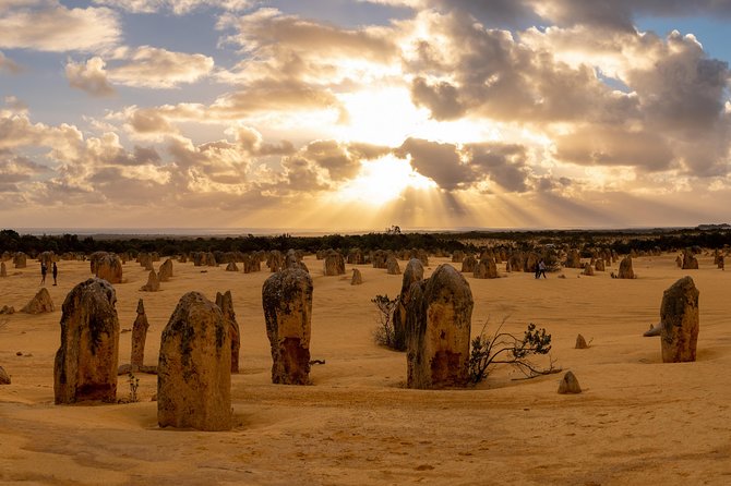 Pinnacle Desert Sunset and Night-time Stargazing Tour from Perth - Key highlights you’ll feel right away