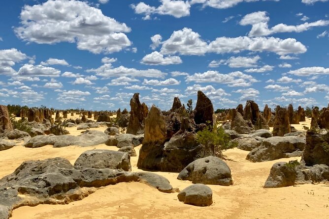 Pinnacles Day Tour - Key highlights to look for