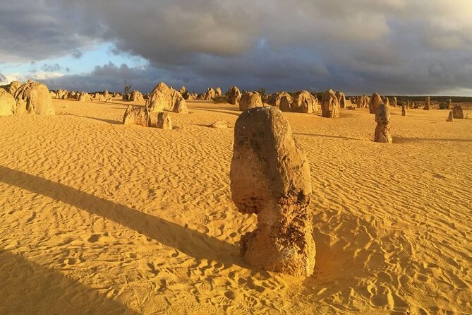 Pinnacles Day Tour - Yanchep National Park: koalas, kangaroos, and easy wildlife spotting