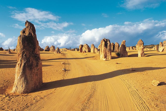 Pinnacles Desert, Koalas and Sandboarding 4WD Day Tour from Perth - Key highlights you’ll feel immediately