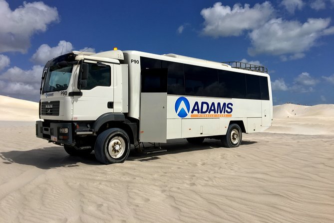 Pinnacles Desert, Koalas and Sandboarding 4WD Day Tour from Perth - Price and logistics: is $179.31 good value for what you get?