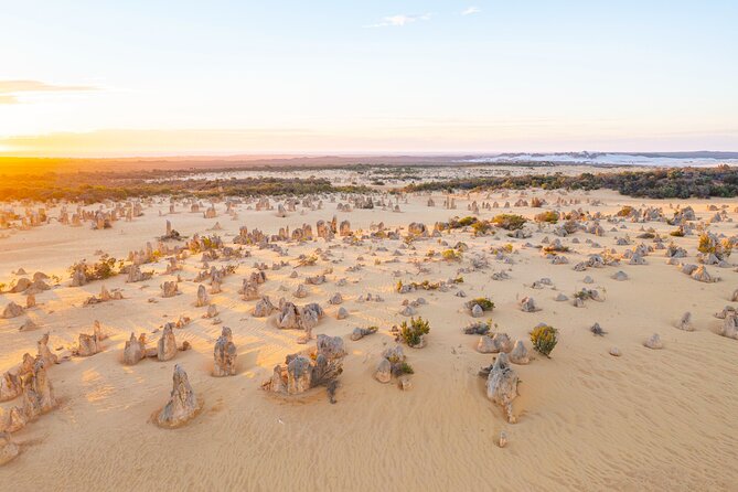 Pinnacles Desert Lobster Tour from Perth - Lake Thetis boardwalk: stromatolites for your inner science nerd