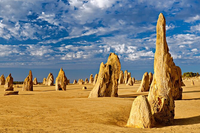 Pinnacles Desert Lobster Tour from Perth - FAQ