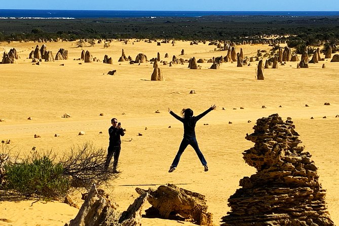 Pinnacles Desert Private Day Tour - Key highlights worth getting excited about